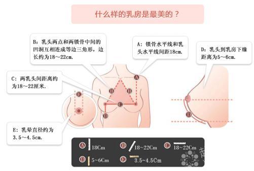 两性