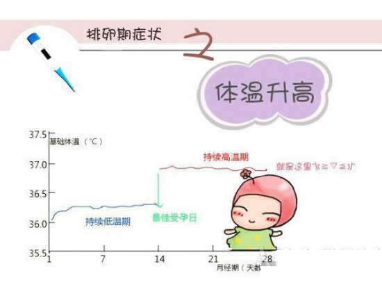 组图：女性私处排卵期是什么感觉