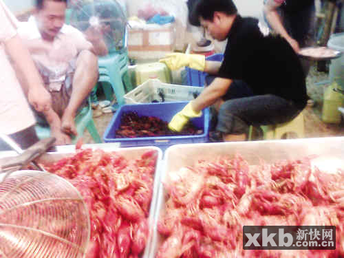 每日半吨死龙虾进广州市场 食用可致铅中毒
