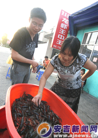 浙江：小龙虾成为竹乡餐桌“大红人”