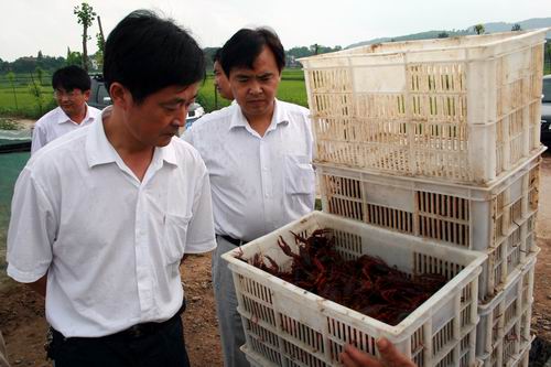 刘安市农委组团参观舒城县万佛湖镇大宝千亩龙虾基地